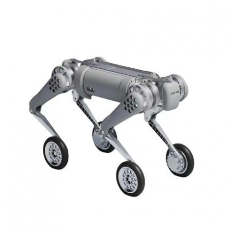 B-W Wheeled Robot Dog