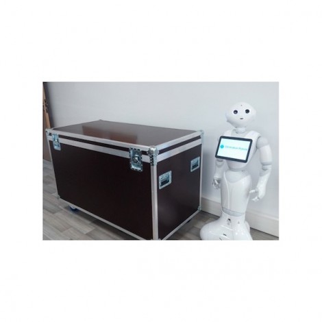 Carrying flight case for PEPPER humanoid robot