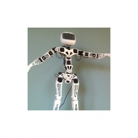 Poppy Humanoid Robot Raspberry Pi version (with 3D parts)