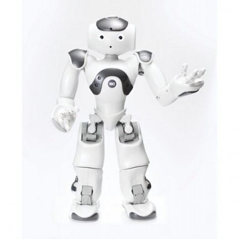 Programmable Humanoid Robot   NAO V6